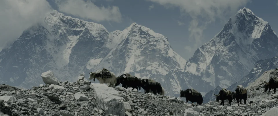 Everest 2015