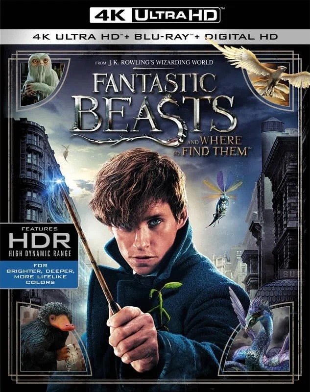 Fantastic Beasts and Where to Find Them 4K 2016 Ultra HD 2160p