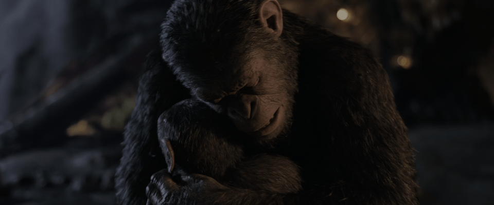 War for the Planet of the Apes RIP 4K MOVIE 2017