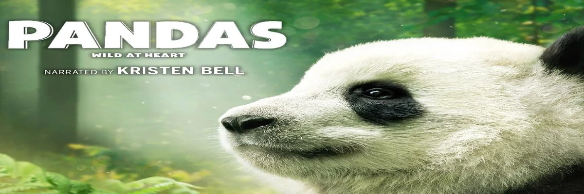 Pandas 4K 2018 DOCU Ultra HD 2160p